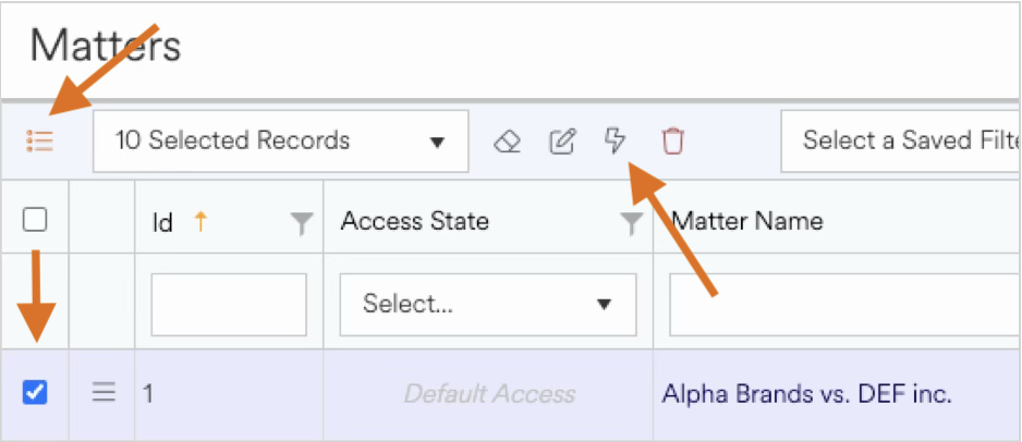 User interface displaying selected records and options for managing matters.